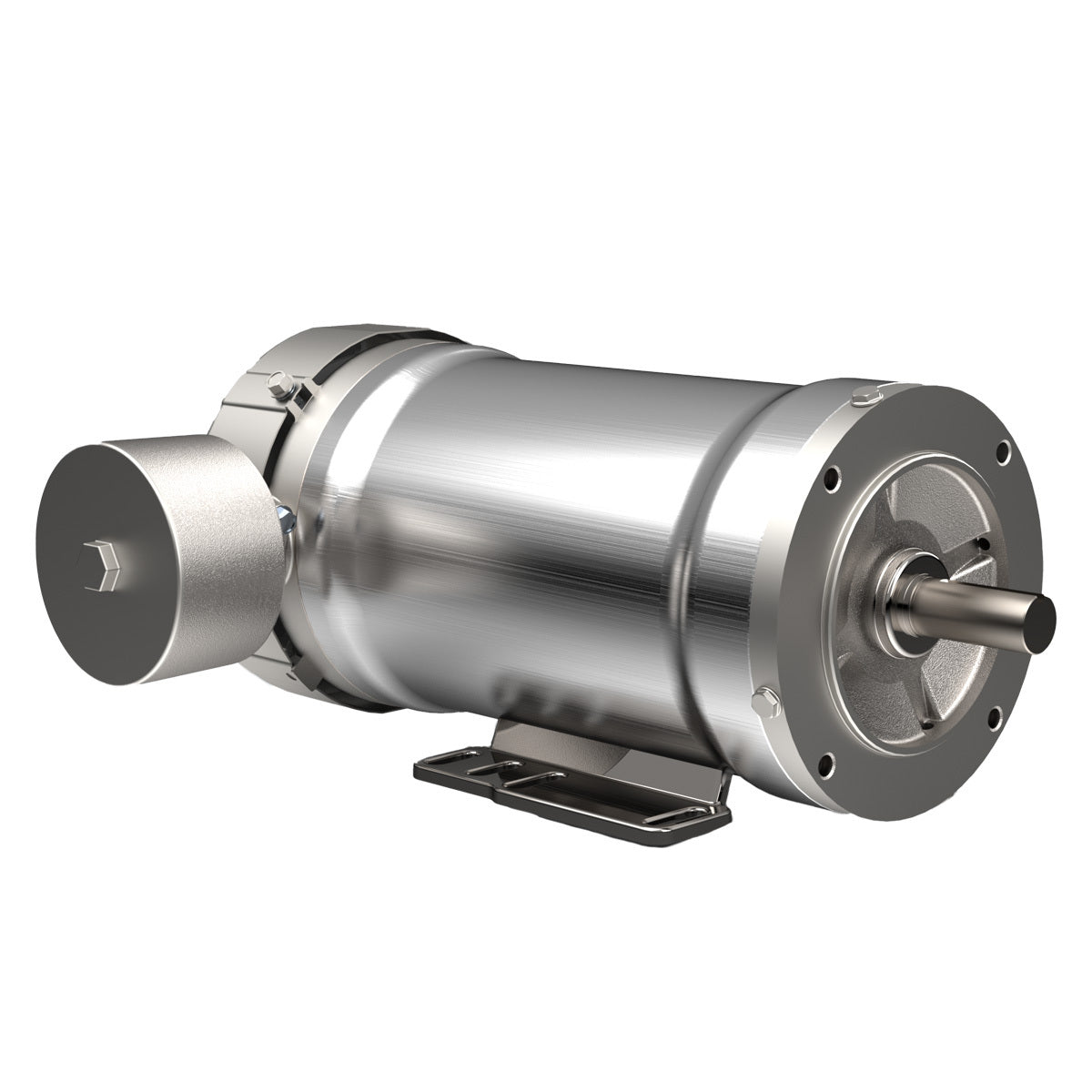 Hydroduty - Foot Mount - TEFC