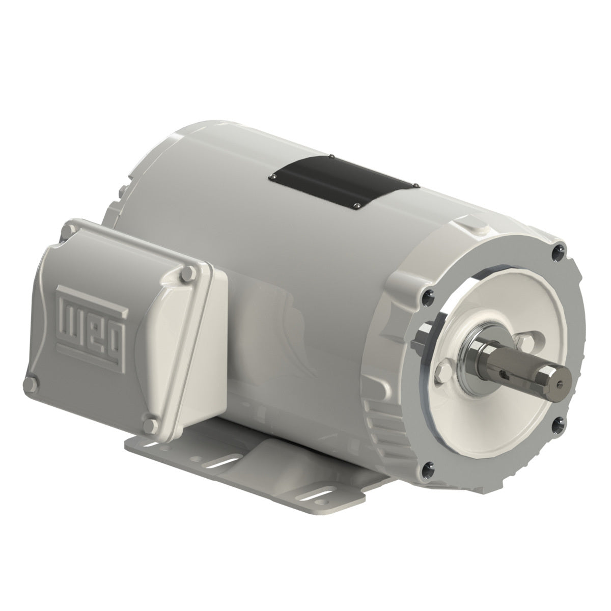 Washdown Motors
