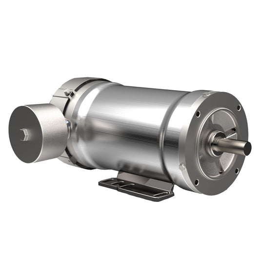 Hydroduty - Foot Mount - TEFC